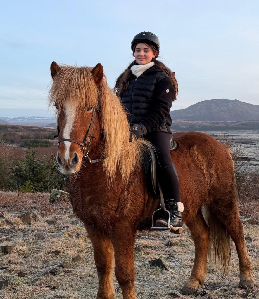 horse