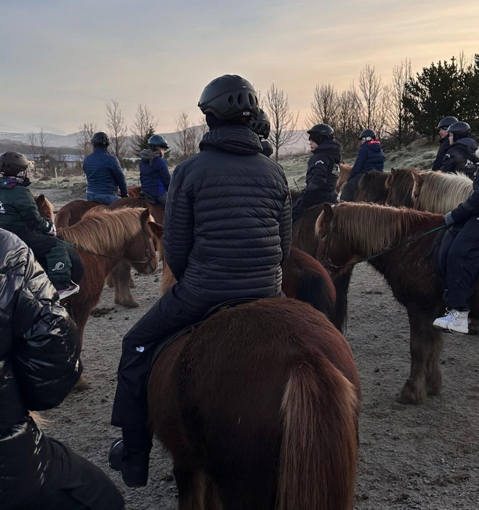 horse